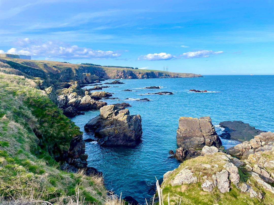 Cove Bay Harbour-Cove必去景点