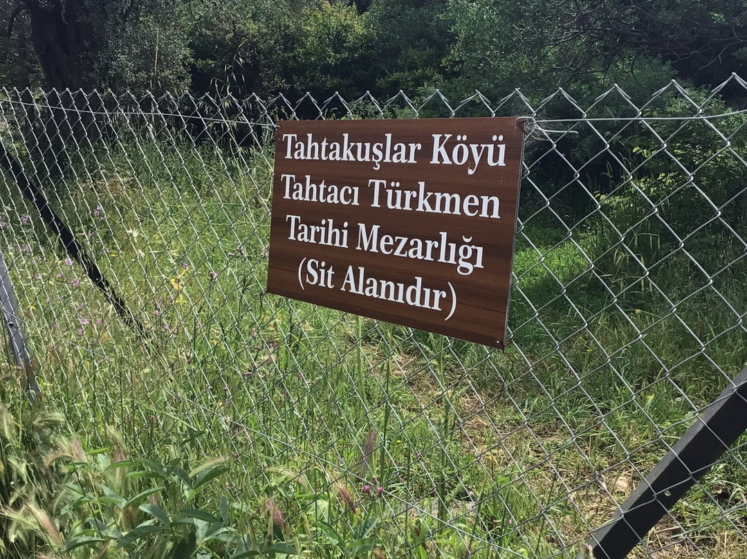 Tahtacilar Village Tahtaci Turkmen Historical Cemetery-埃德雷米特必去景点