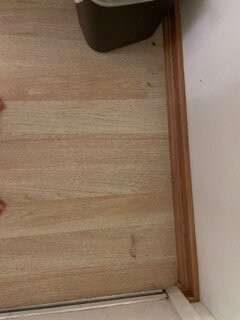 Cedar Lodge Motel主图