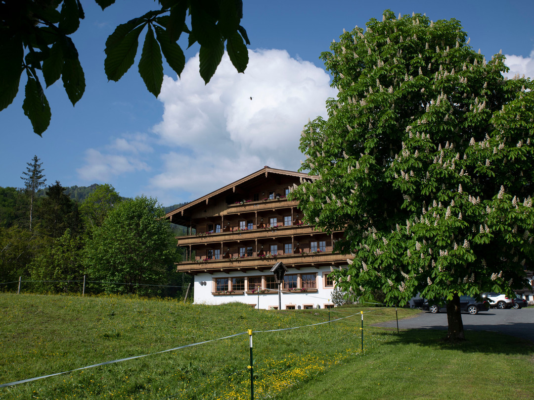 克拉梅罗夫酒店主图