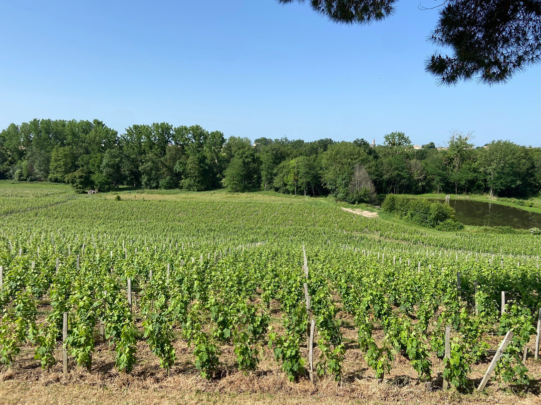 Chateau Tournefeuille主图