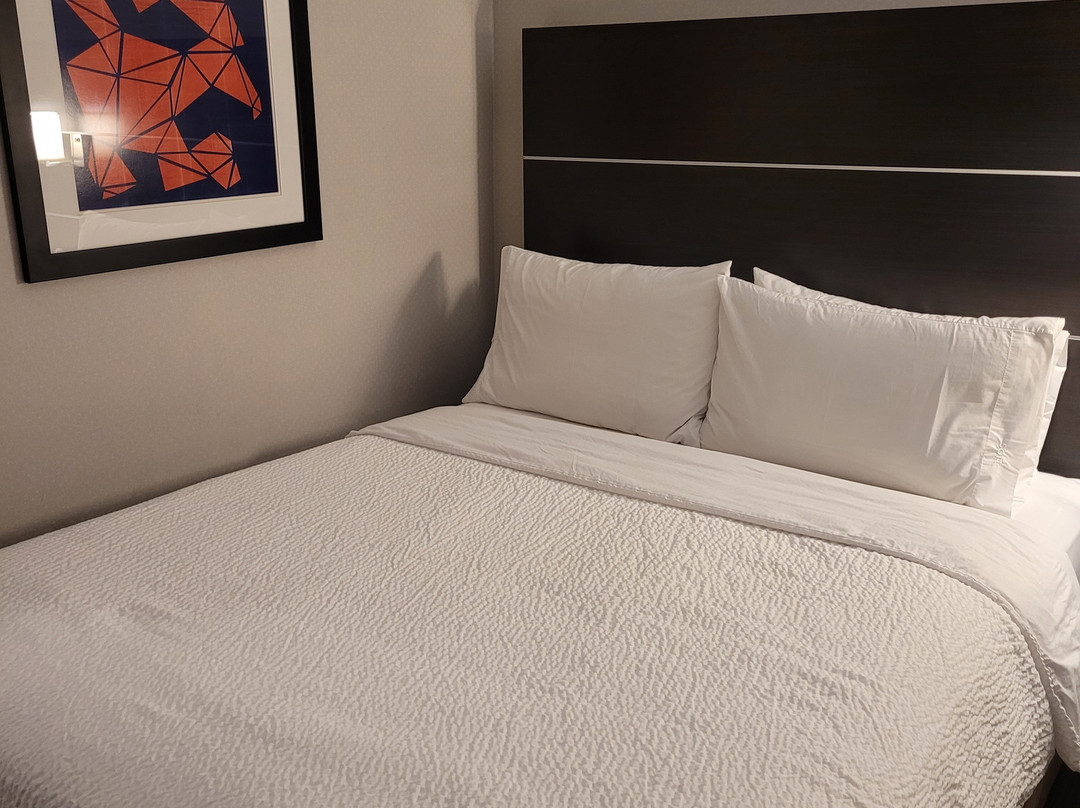 Holiday Inn Express & Suites Indianapolis Ne - Noblesville By IHG主图