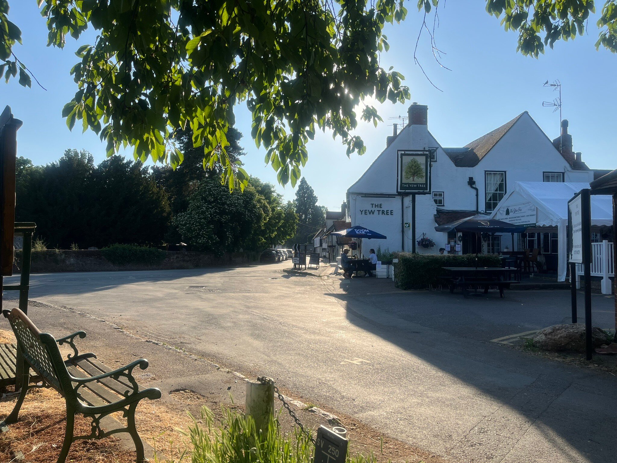 The Yew Tree-官方