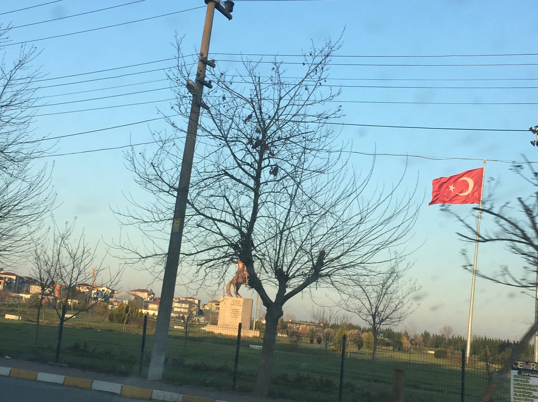 Büyükkarıştıran Millet Bahçesi景点图片