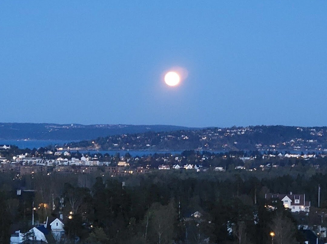 The Fjords-奥斯陆必去景点