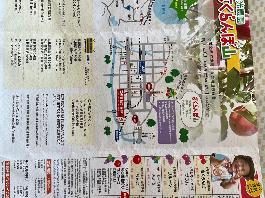 Sakuranboyama Kanko Firm-仁木町必去景点