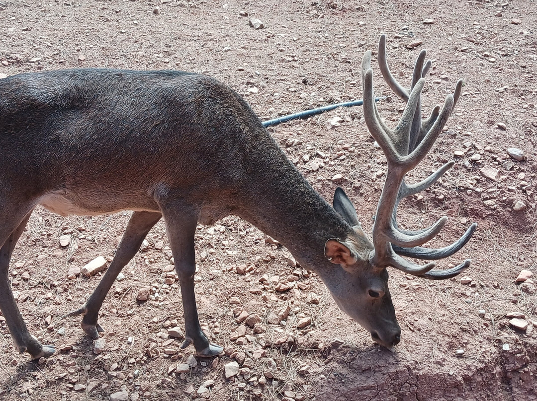 Hotel Sierra de Cazorla & SPA 3主图