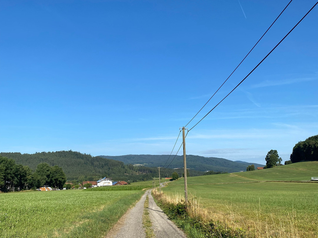 Köpplwirt Landhaus & Chalets主图