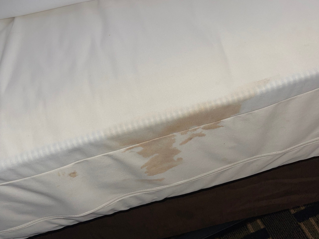 Fairbridge Inn & Suites Batavia - Darien Amusement Park主图