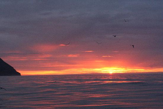 Gentle Giants Whale Watching-胡萨维克必去景点