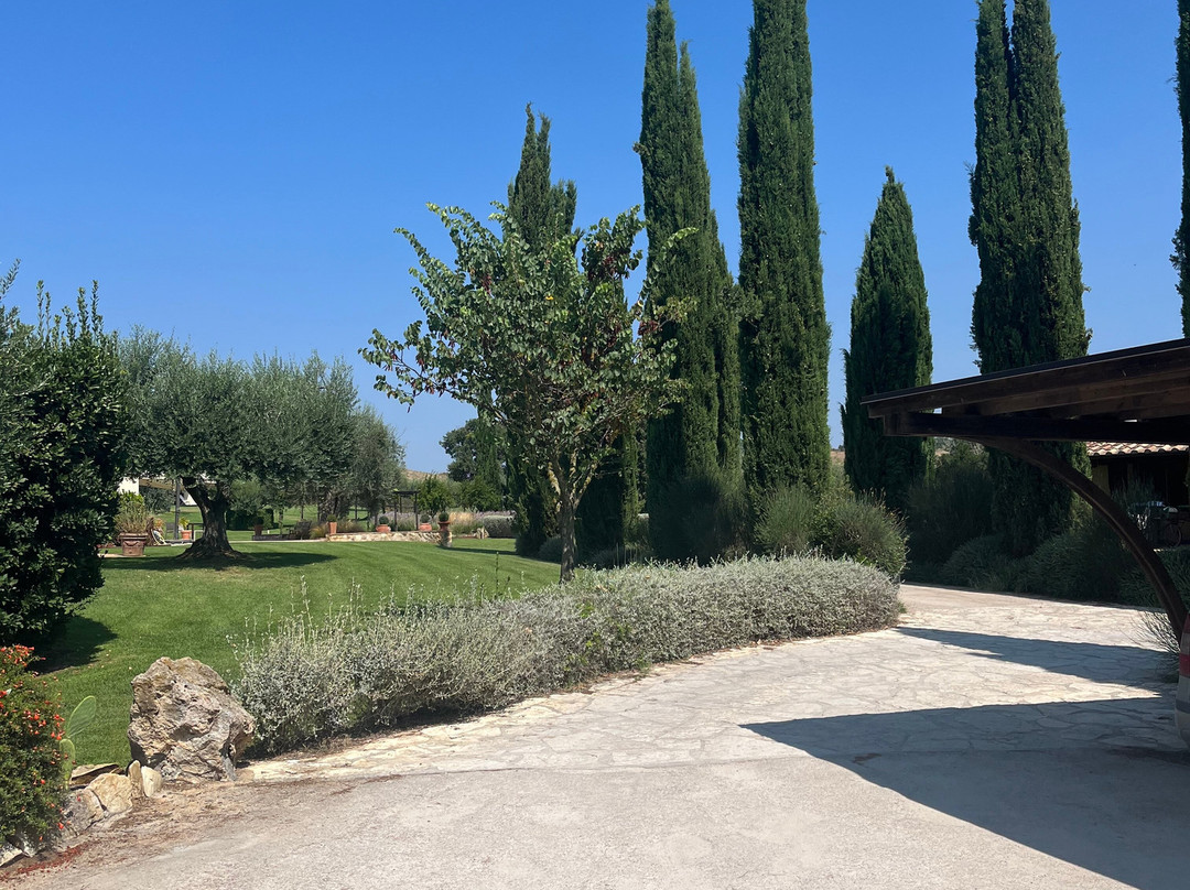 Agriturismo Il Casale degli Olivi主图