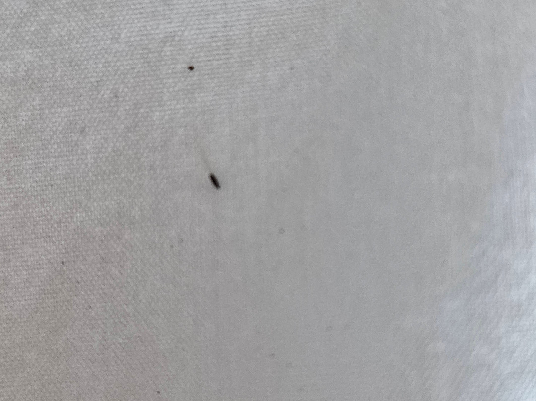 Fairfield by Marriott Inn & Suites St. Joseph Stevensville主图