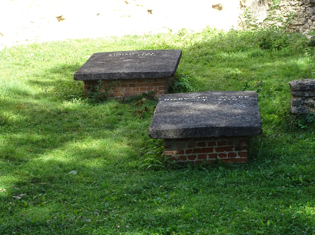 Ruins of the Pauline Monastery景点图片