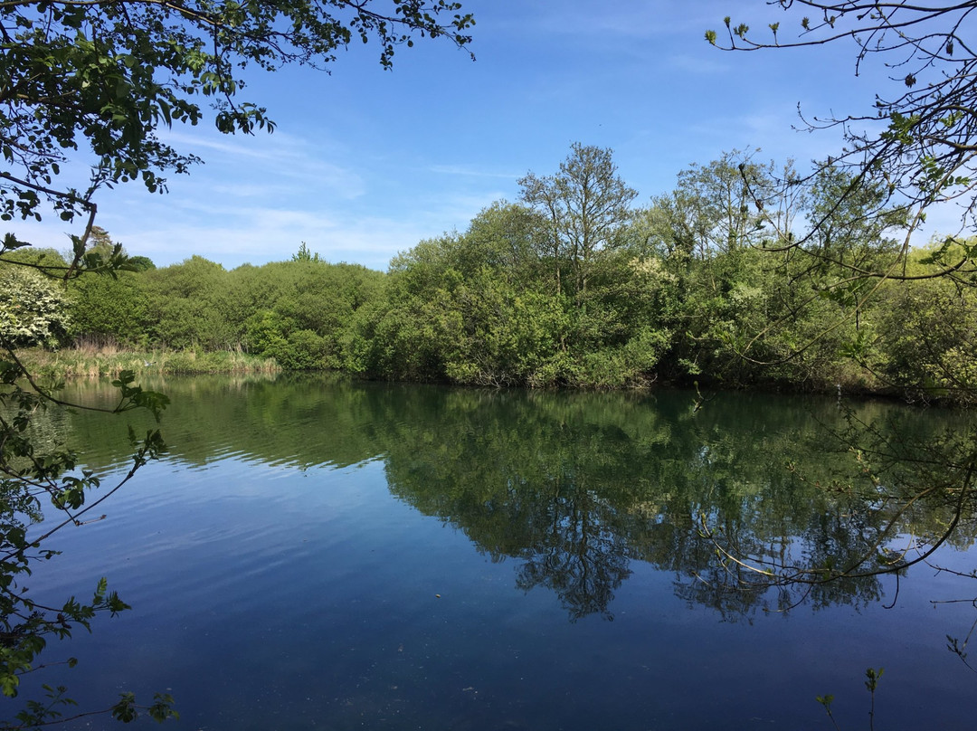 Anton Lakes Local Nature Reserve景点图片