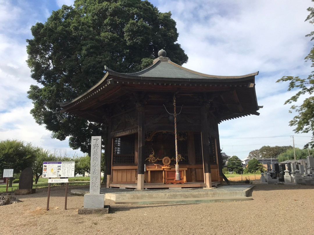 Shimotsuke Yakushi-ji Temple-下野市必去景点