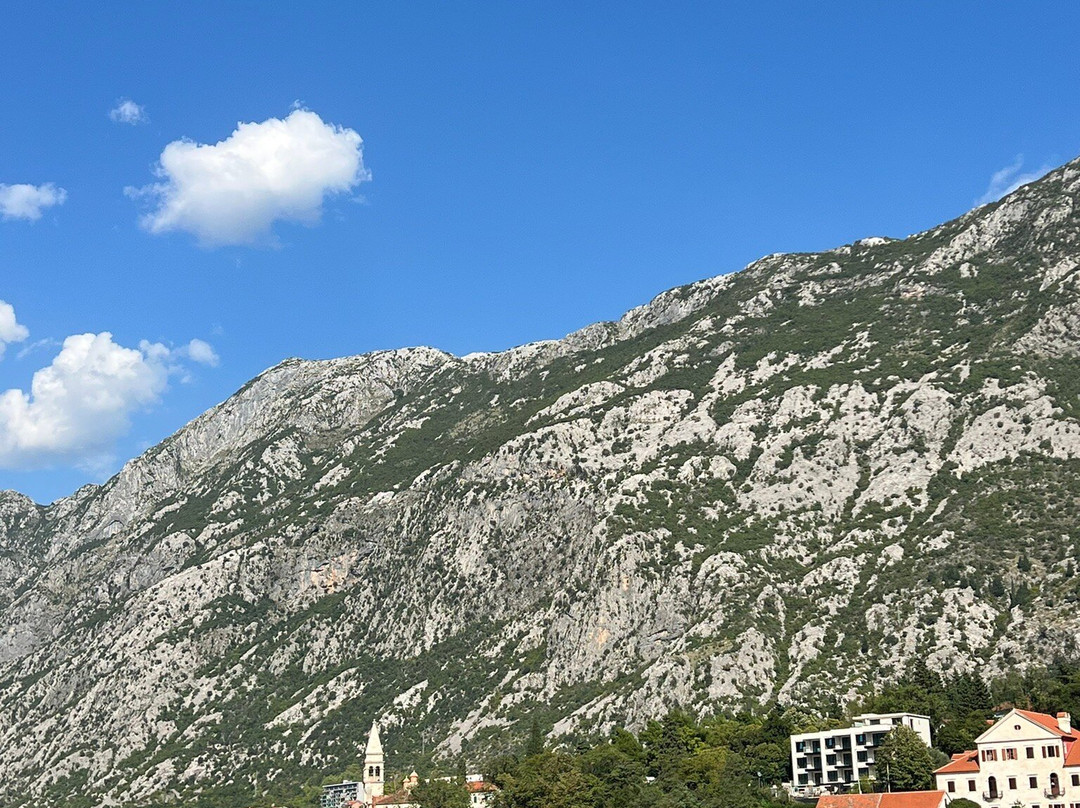 Kotor Boat Tours景点图片