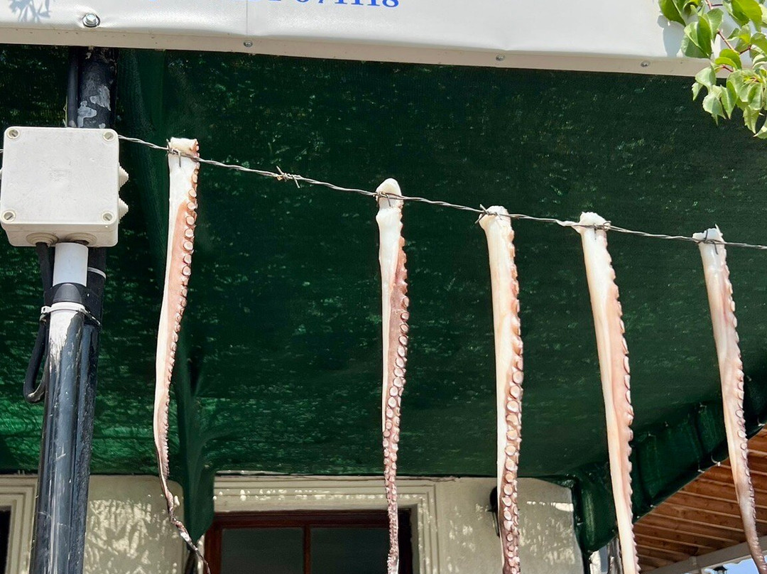 Galazio Asteri 1主图