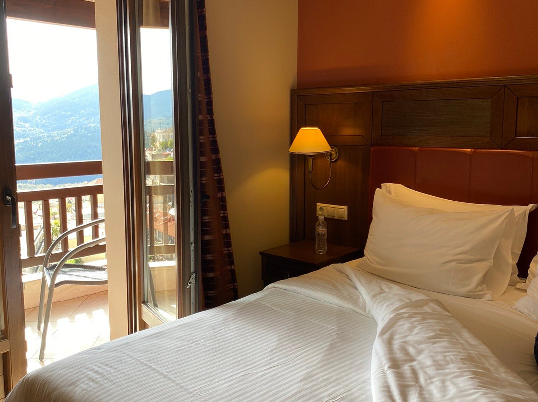 Selestina Boutique Hotel主图