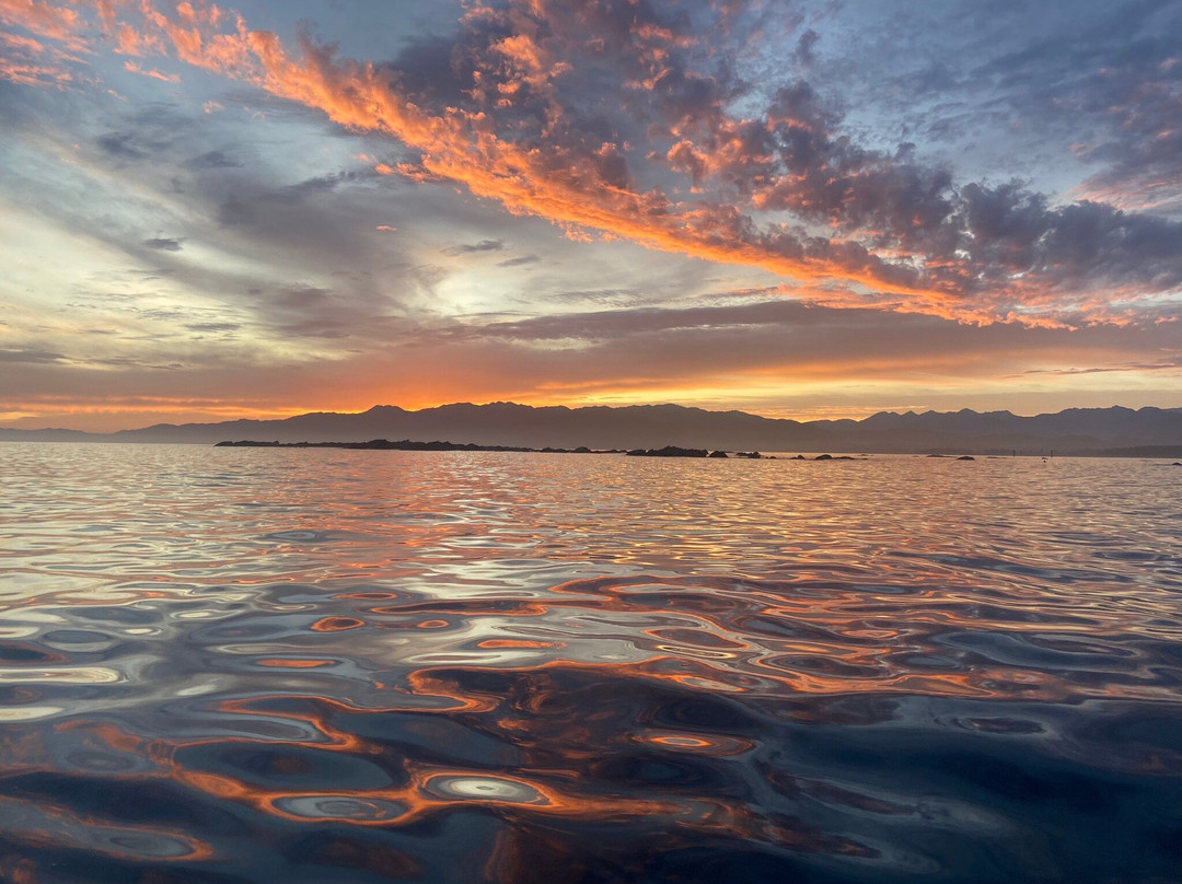 Seal Kayak Kaikoura-Kaikoura必去景点