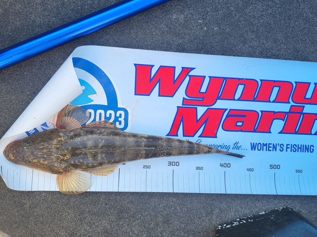 Capn’s Charters-黄金海岸必去景点