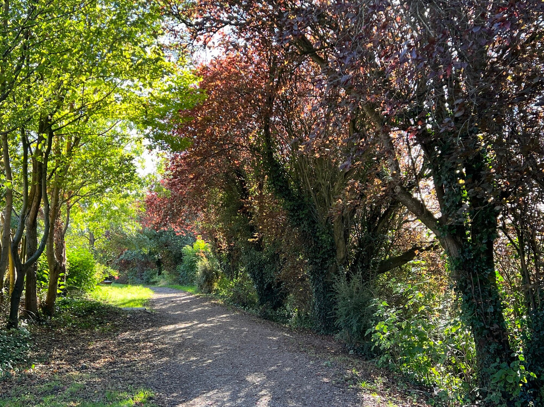 SHENLEY PARK-Shenley必去景点
