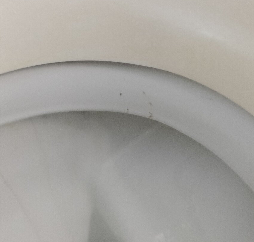 Hotel Testani Colleferro主图