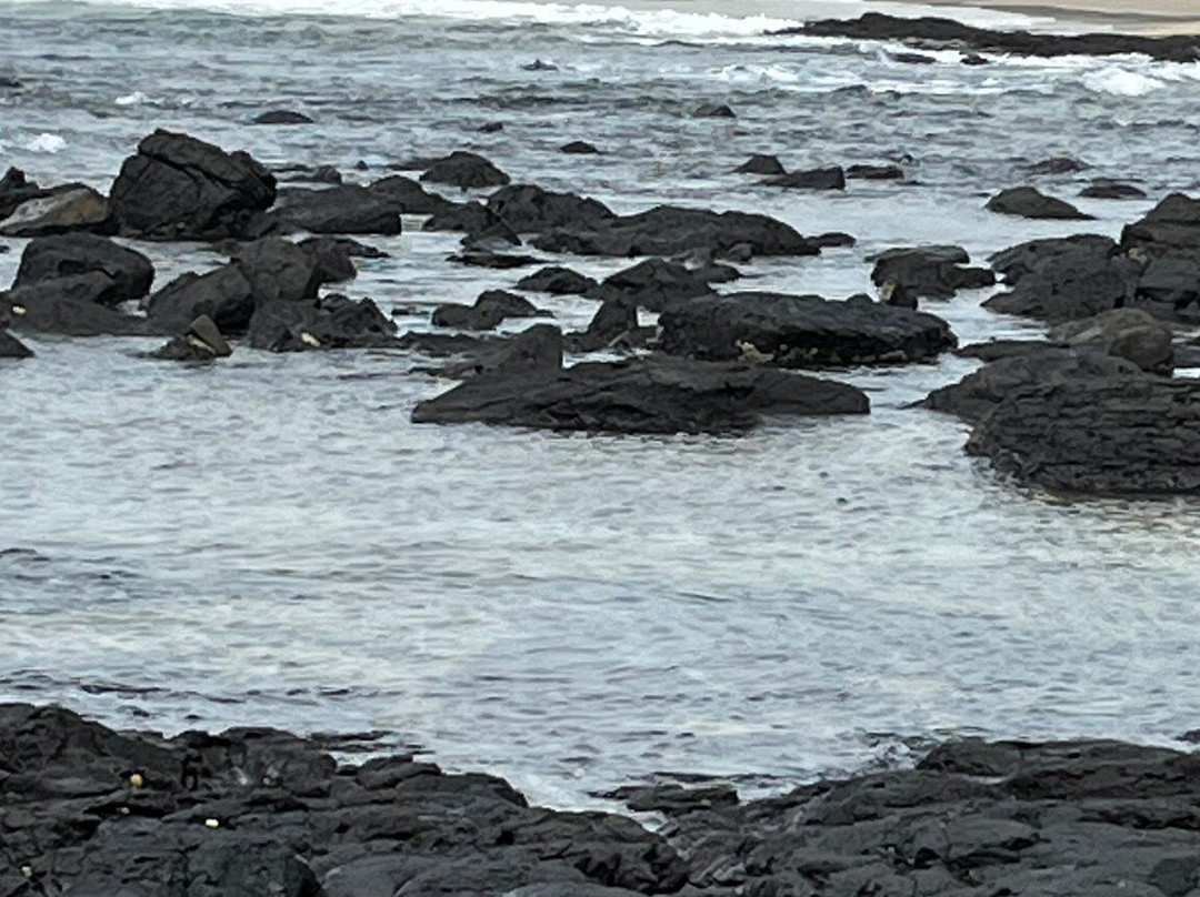 Angels beach & Flat Rock景点图片