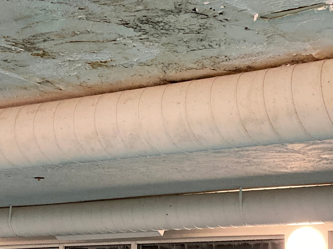 Best Western Plus Executive Court Inn & Conference Center主图