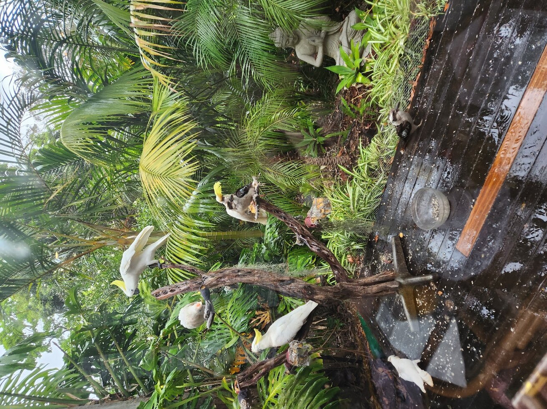 Palm Beach Bed & Breakfast主图