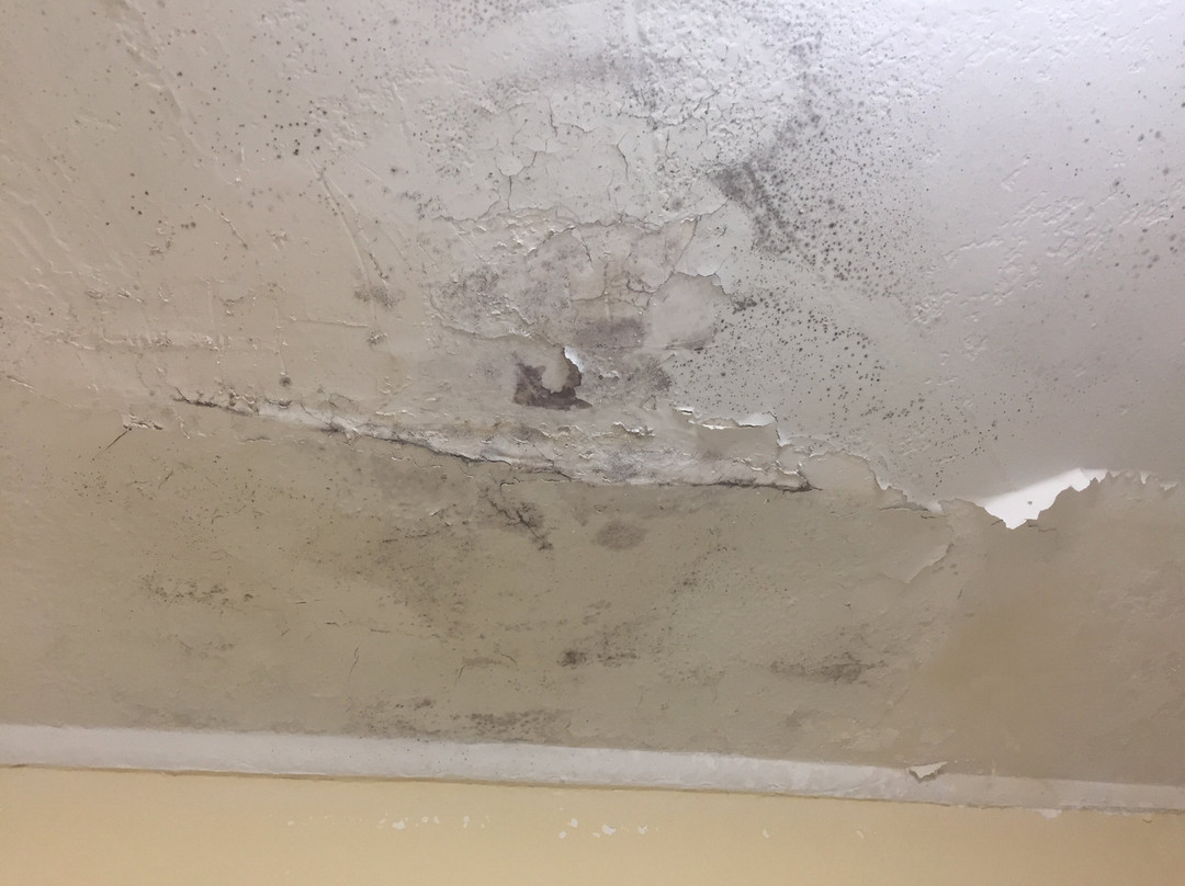 Days Inn by Wyndham Knoxville East主图