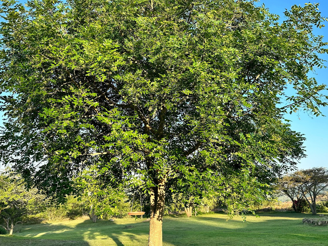 白房子宾馆酒店主图