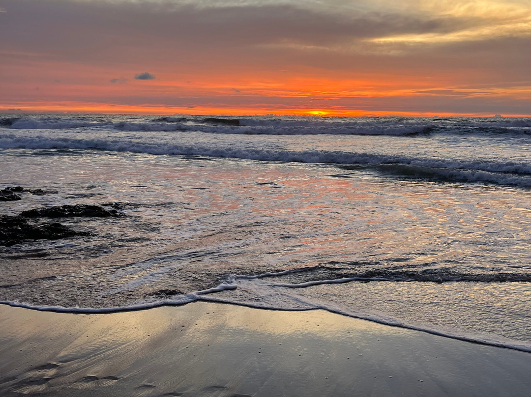 Playa Avellana-Playa Avellanas必去景点