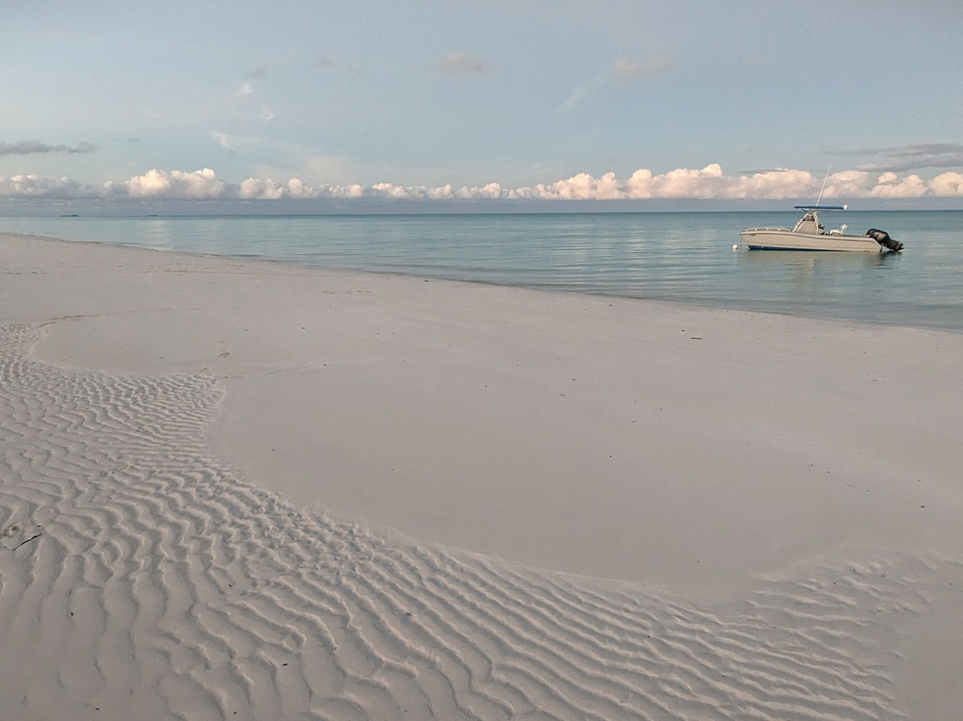 Andros Beach Club主图