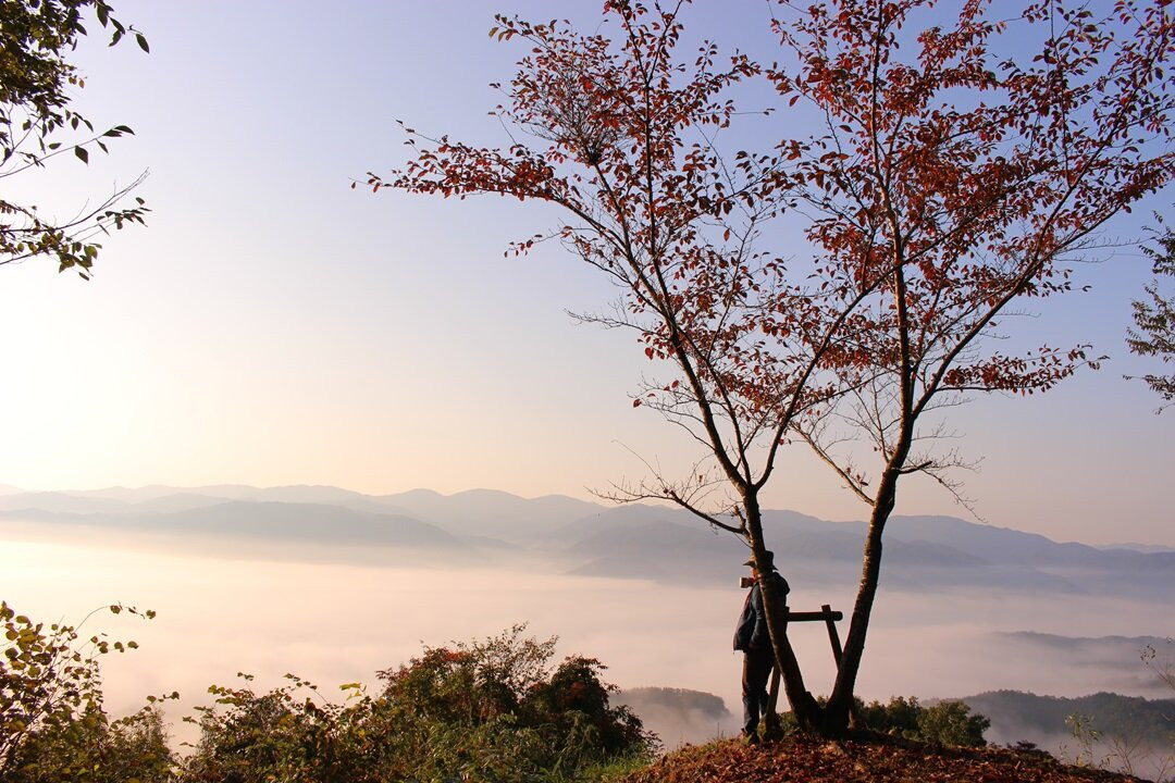 Futatsuyama Castle Ruins-邑南町必去景点