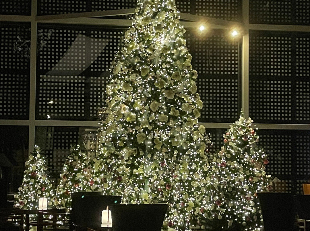 范德瓦尔克巴黎戴高乐机场酒店