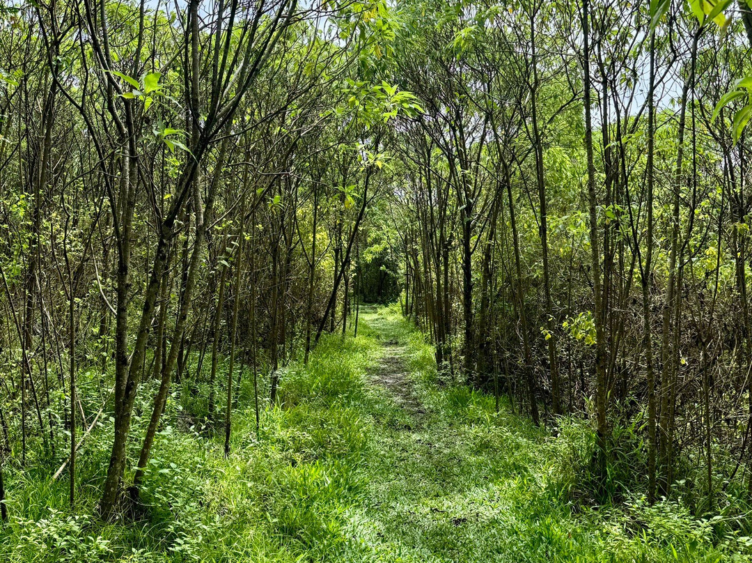 Asilo de la Paz-Floreana必去景点