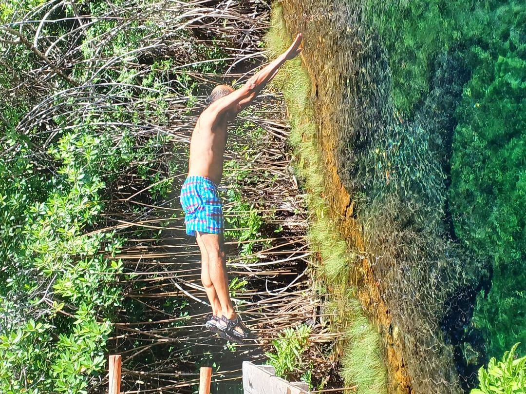 Soliman Bay Tours-图伦必去景点