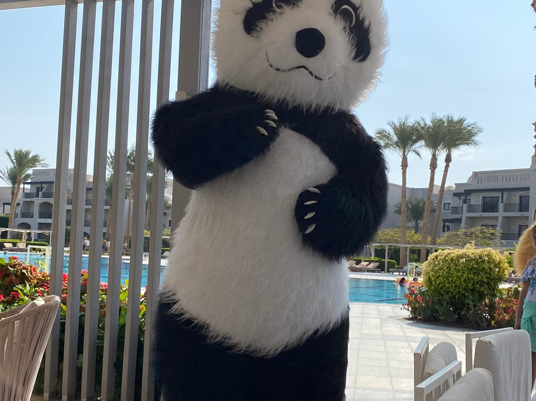 Steigenberger Alcazar主图