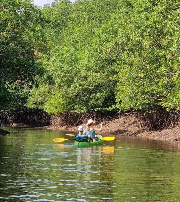 Lanta Mangrove Tour景点图片