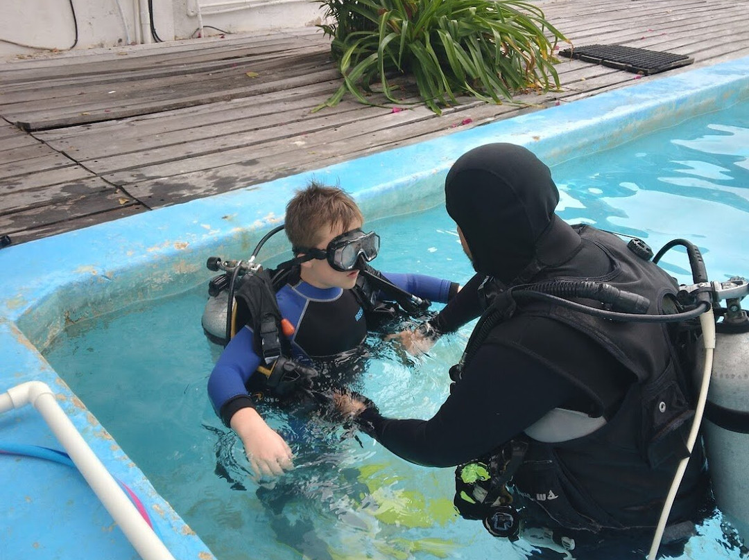 XTC Dive Center-Xcalak必去景点