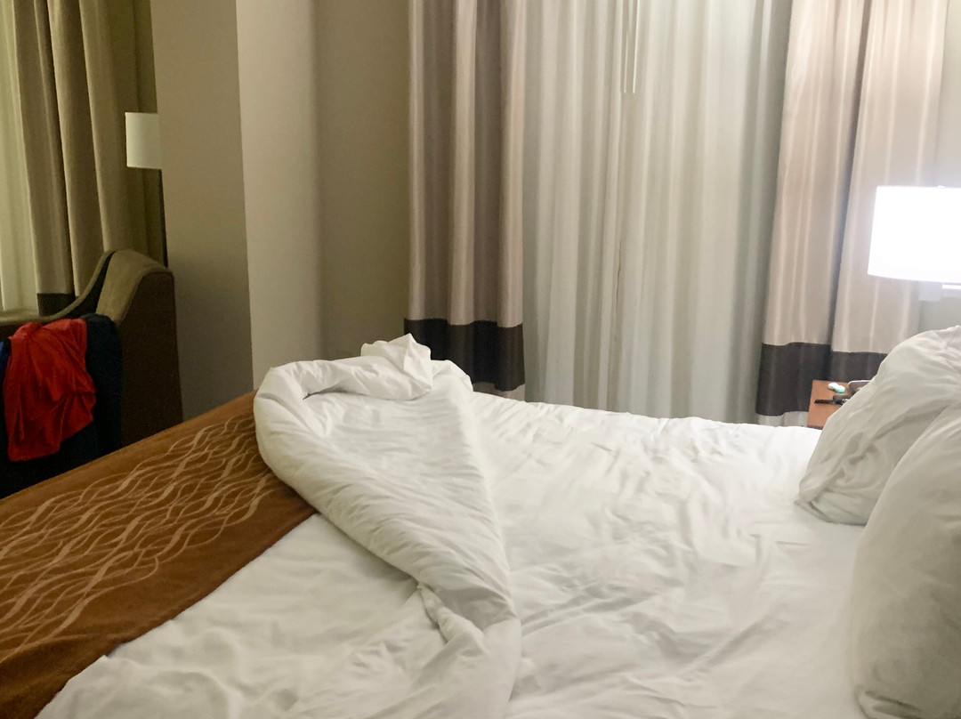 Comfort Inn & Suites Cordele主图