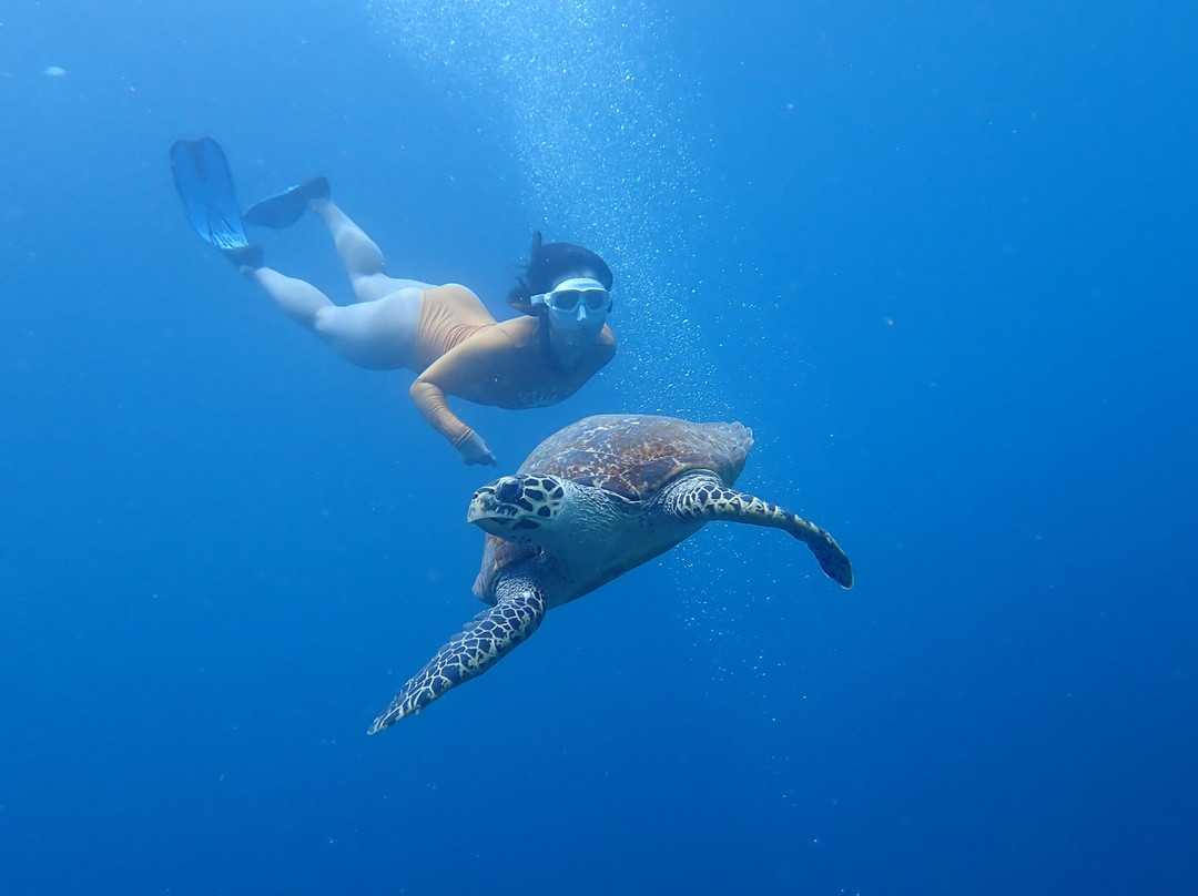 Snorkeling Menjangan Island景点图片