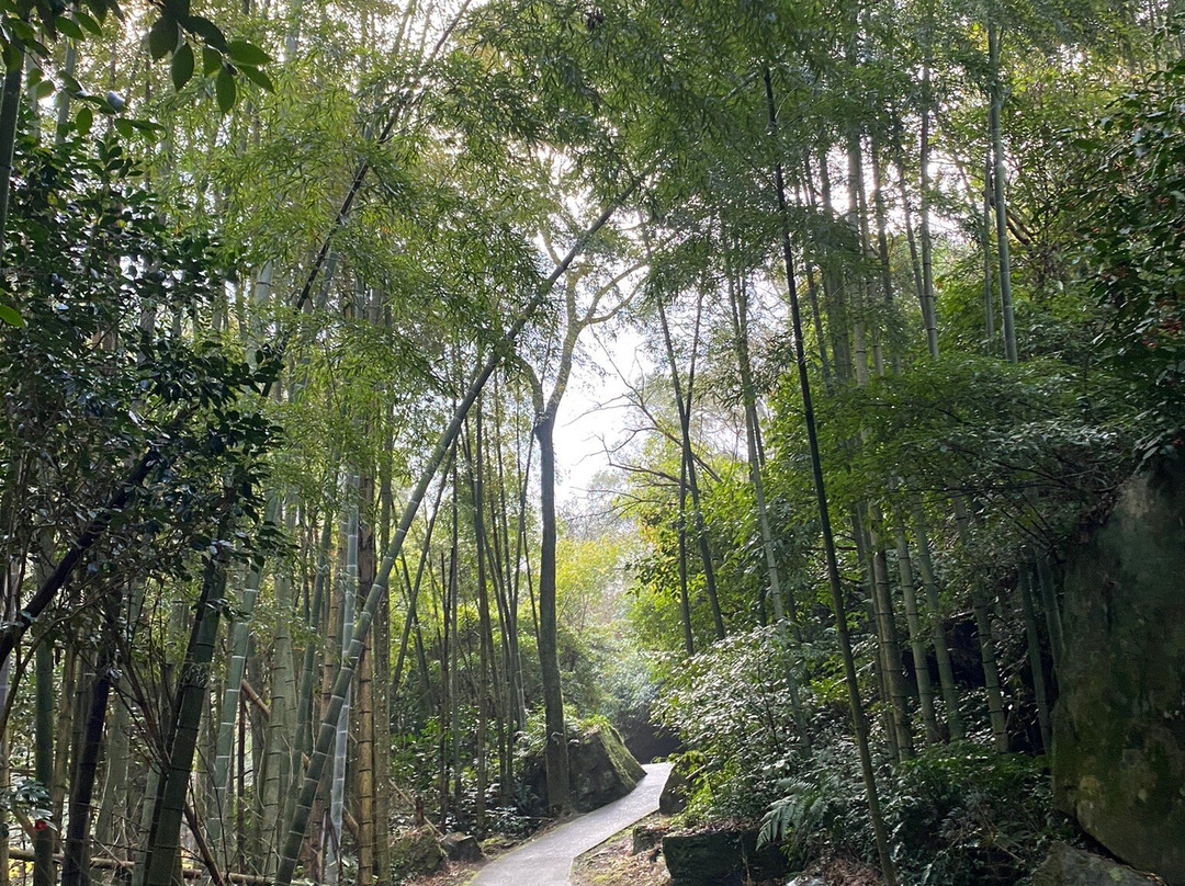 Ogawano Taki Falls景点图片