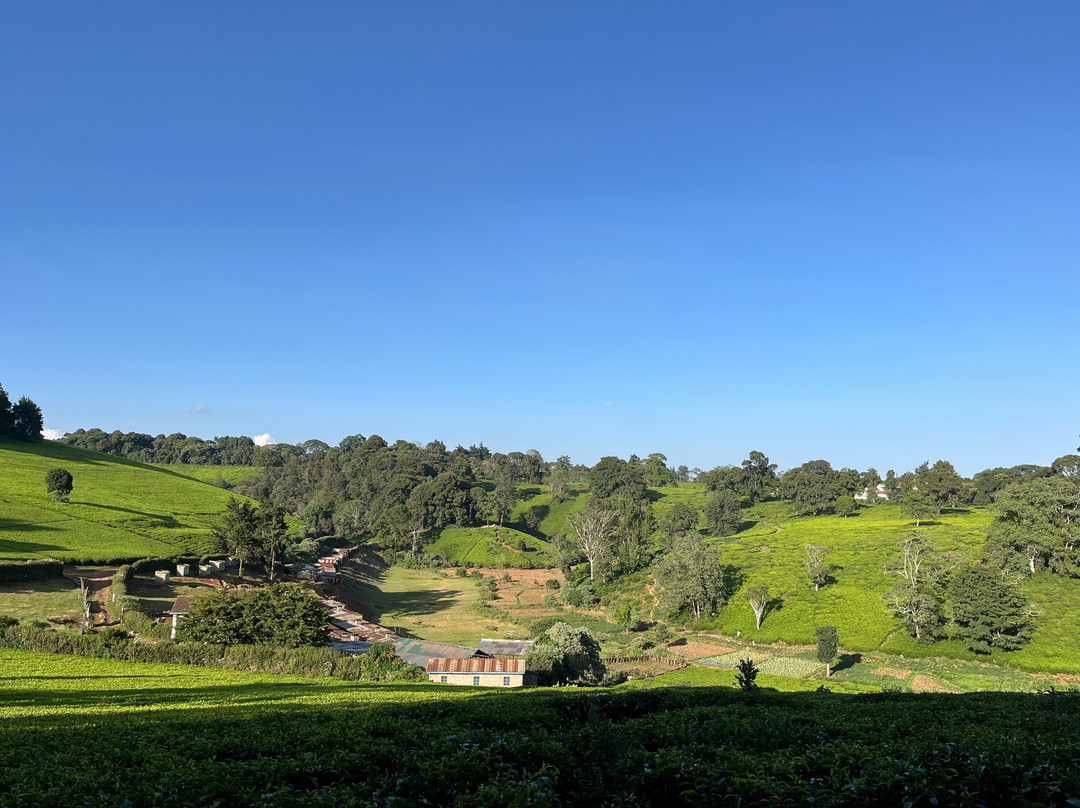 Baiskeli Adventures-内罗毕必去景点