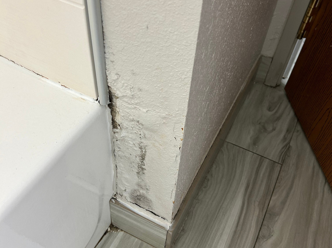 Holiday Inn Express & Suites Live Oak by IHG主图