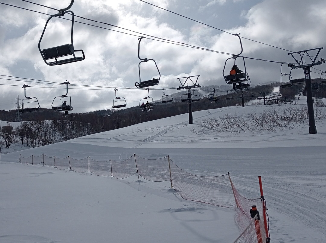 留寿都度假村滑雪场景点图片