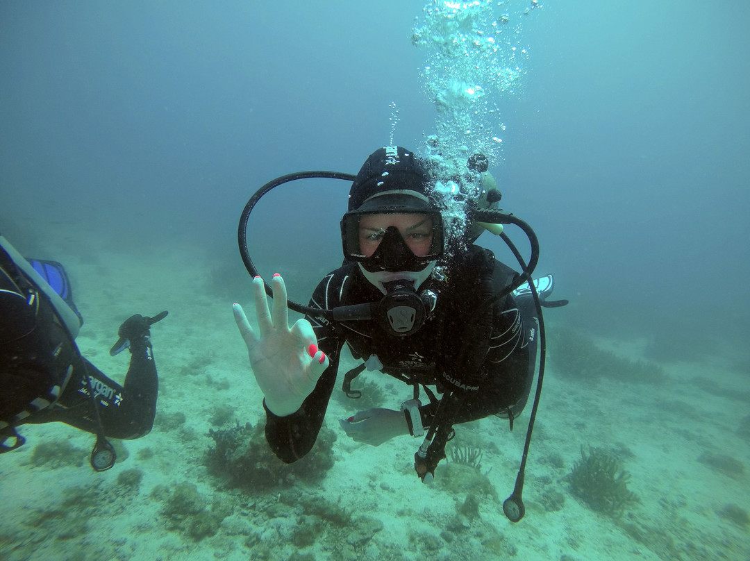 Scubadiving Margarita-El Tirano必去景点