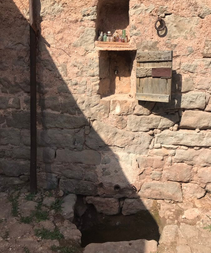 Celler Fargas - Fargas景点图片