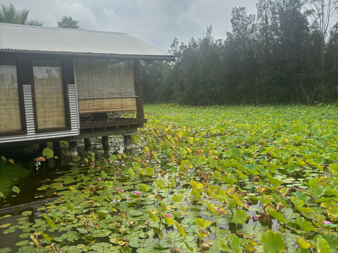 The Boathouses at Leaves & Fishes主图
