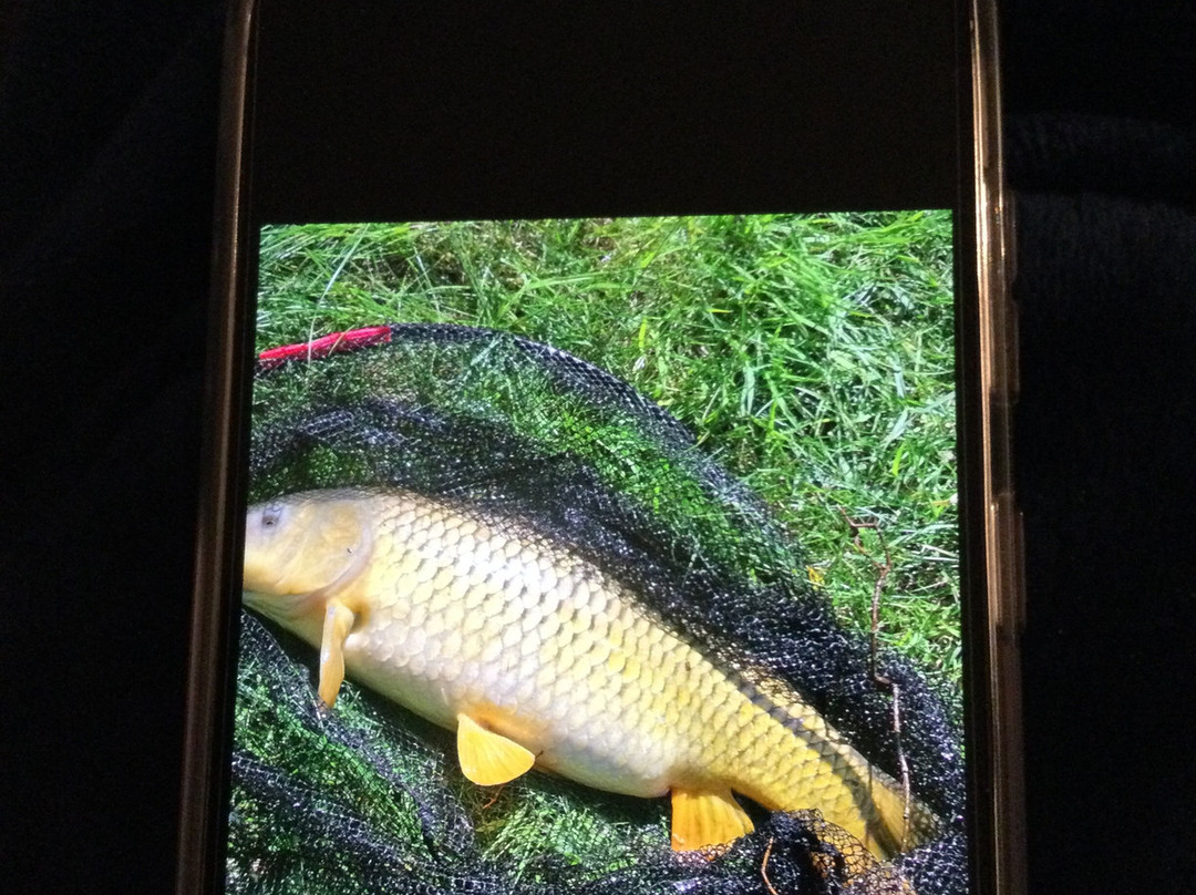 SpringWater Fishery景点图片